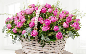 Large basket of pink roses on a white background