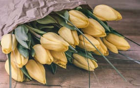 Большой букет желтых тюльпанов в бумаге 