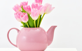 Розовые тюльпаны в чайнике на белом фоне