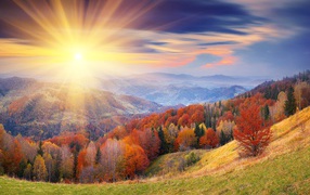 Autumn forest in the rays of a bright sun at sunrise against the background of mountains
