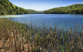 Вид на озеро и лес в Национальном парке Плитвицкие озёра, Хорватия