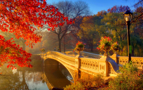 Мост над рекой в красивом осеннем лесу с покрытыми  золотыми листьями деревьями