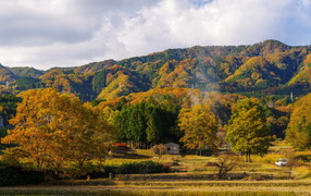 Холмы покрыты осенним лесом в лучах солнца