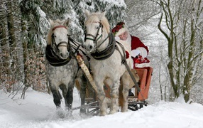 Дед Мороз в санях едет по заснеженному лесу