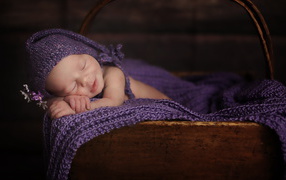 A baby breast is sleeping in a wooden basket