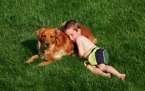 Маленький мальчик спит с золотистым ретривером на зеленой траве