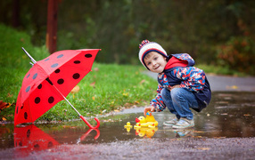 A little boy starts a rubber duck in a puddle after a rain