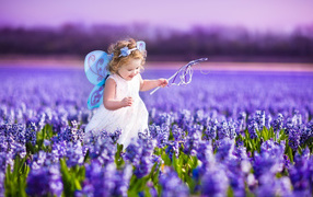 A little girl in a fairy costume walks the hyacinth field
