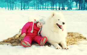 A little girl is sitting on the snow with a big Samoyed dog
