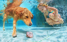 Маленькая девочка плавает в бассейне с большой рыжей собакой