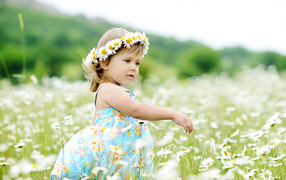 A little girl with a wreath walks around the field with camomiles