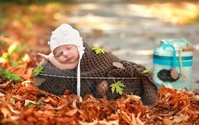 Маленький грудной ребенок спит в корзине на опавшей листве осенью
