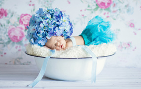A small baby is sleeping in a bowl with a cap of hydrangea flowers on the head