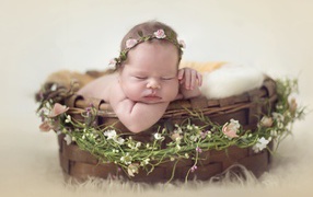 A small sleeping baby in a basket