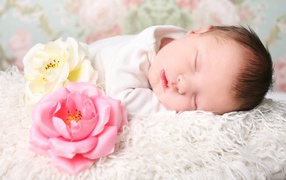 Милая маленькая девочка спит с двумя розами
