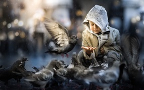 A young child feeding pigeons 