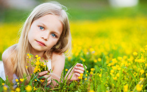 Beautiful blue-eyed girl lies on yellow field flowers