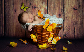 Cute baby sleeping in a basket with butterflies