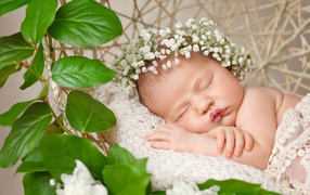 Милый маленький спящий младенец с белыми цветами на голове