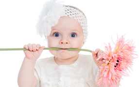 Маленькая голубоглазая девочка с розовым цветком герберы в руках