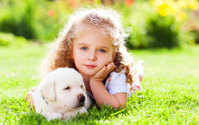 Little blue-eyed girl with a puppy of a golden retriever lies on a green grass