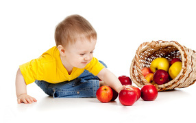 Little boy with a basket of ripe apples on a white background