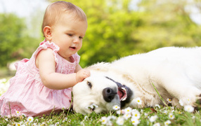 Маленькая милая девочка с большой белой собакой