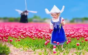 Маленькая девочка в голубом платье на поле тюльпанов 