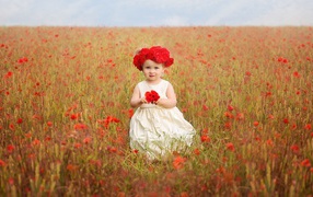 Little girl in a field of red poppies