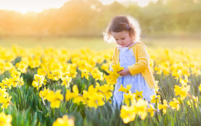 Маленькая девочка в поле желтых нарциссов 