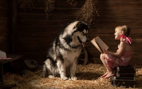 Маленькая девочка читает книгу собаке породы хаски