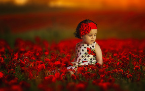 Little girl is sitting in a field with red poppies