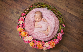 Little girl is sleeping in a basket decorated with flowers