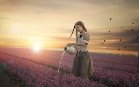 Little girl is watering flowers from a jug in a field at sunset