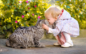 Маленькая девочка целует серого кота