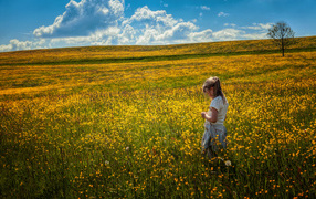 Маленькая девочка гуляет по полю с желтыми цветами