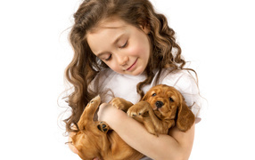 Маленькая девочка шатенка с маленьким щенком в руках на белом фоне