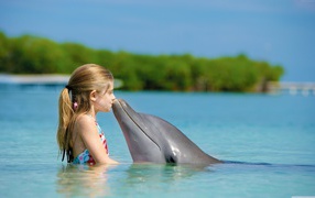 Little girl with a dolphin in blue water