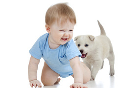 Little smiling boy with a puppy on a white background