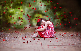 Petals of a red rose fall on a little girl