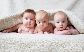 Три младенца лежат под одеялом