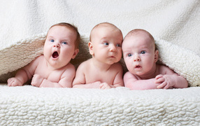 Three babies under a white warm blanket