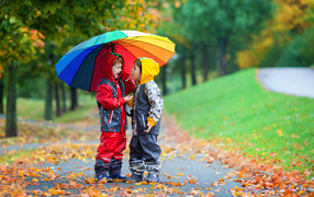 Два мальчика под разноцветным зонтом осенью