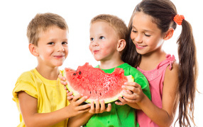 Два маленьких мальчика и девочка едят арбуз на белом фоне