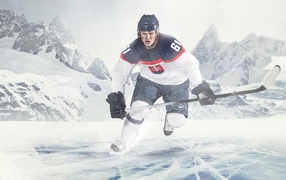 Ice hockey player with a stick on the ice 