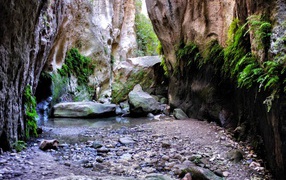 Beautiful gorge Avakas, Cyprus 