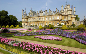 Flowering flowers at the estate of Waddesdon, England