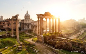 Roman Forum in the sun, Rome. Italy