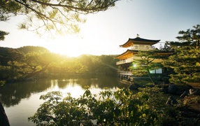 The pond at dawn, Japan