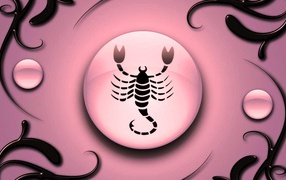Scorpio on a pink background with black ornament